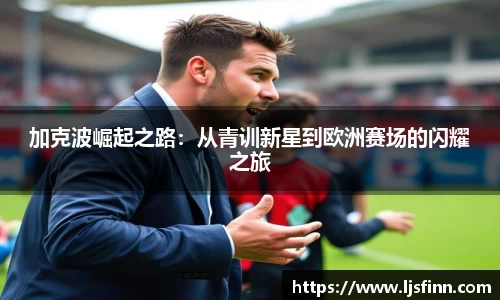yy易游体育官网