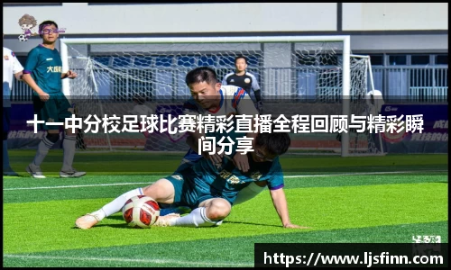 yy易游体育官网